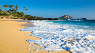Beach waves sand mountain palm - wave free wallpaper
