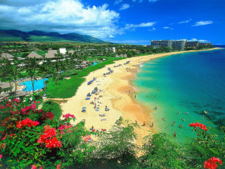 Beach people flowers blue sky - a few building free wallpaper
