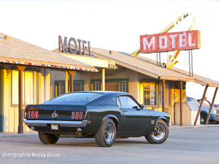 Black mustang motel neon sign - a matte painting free wallpaper