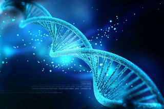 Blue background double stranded human - double free wallpaper