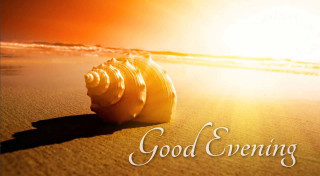 Shell beach sunshine evening message - the sun free wallpaper