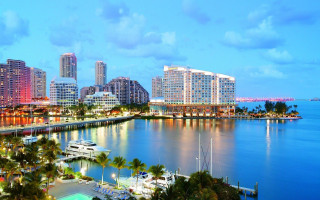 City harbor marina night boats 2 - the water and palm trees free wallpaper