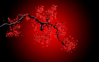 Branch red leaves black background - digital free wallpaper for desktop