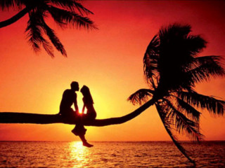 Couple palm tree ocean sunset - romantic free wallpaper