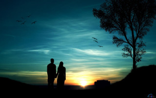 Couple tree sunset birds flying 3 - romantic free wallpaper