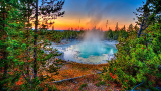 Geyser forest sunset colorful sky - bob thompson free wallpaper