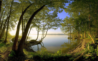 Lake trees grass sky clouds 3 - tree and grass free wallpaper