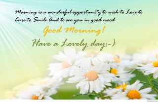 Daisies good morning message image - someone free wallpaper