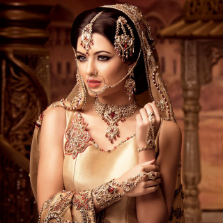 Bride palace staircase posing picture - bronze free wallpaper