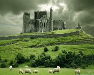 Castle sheep grazing field cloudy - sheep free wallpaper
