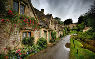 Wet street flower lined houses - a wet road free wallpaper