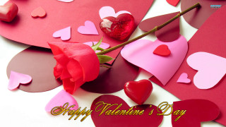 Red rose hearts white table 2 - a white table free wallpaper