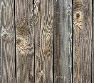 Bird perched wooden fence post - andries stock free wallpaper