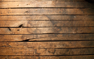 Wooden plank bird side bird 3 - a woodcut free wallpaper