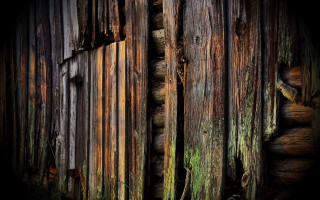Wooden wall moss black background - moss free wallpaper