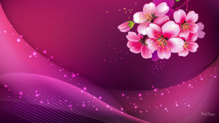 Pink flower purple background wave 2 - pink free wallpaper for desktop