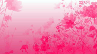 Pink background flowers grass sky - flower and grass free wallpaper