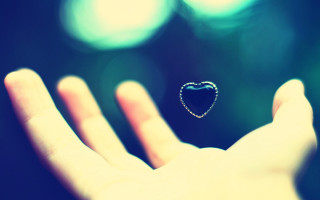 Heart shaped object palm hand - art photography free wallpaper for desktop