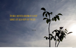 Plant sky background quote author - us free wallpaper