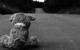 Stuffed animal road middle of - stuffed free wallpaper