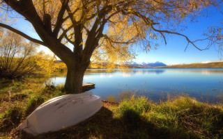 White boat lake yellow leaves - yellow leaf free wallpaper