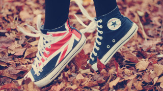 Person standing leaves field feet - fashion free wallpaper