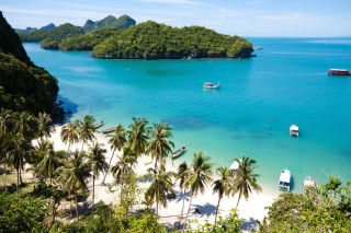 Beach boats palm trees shore - a few boat free wallpaper