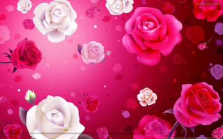 Roses pink background hearts flowers - heart free wallpaper