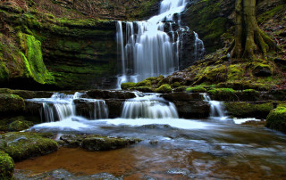 Waterfall moss rocks water trees - the rock and water free wallpaper