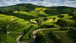 Lush green valley winding road - road in the middle of it free wallpaper