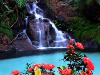 Waterfall red flowers blue pool - alexander brook free wallpaper