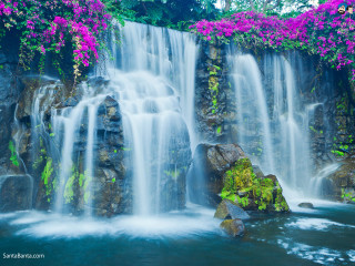 Waterfall purple flowers rock water 4 - the water below free wallpaper