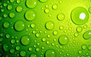 Green background water drops white 2 - a white button free wallpaper