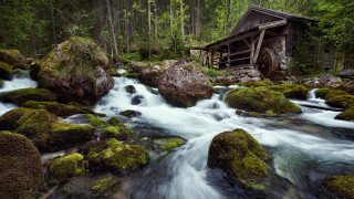 Stream forest rocks trees wooden - a stream free wallpaper