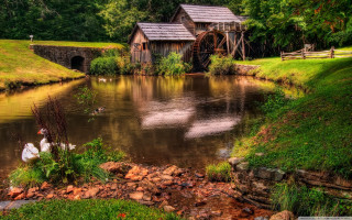 Pond house swans bridge waterwheel - beautiful landscape free wallpaper
