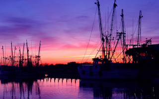 Boats harbor sunset purple sky - dave arredondo free wallpaper