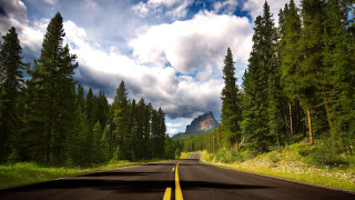 Road mountain trees yellow line - both side of it free wallpaper