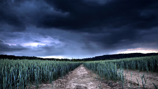 Dirt road field storm clouds 2 - a dark sky above free wallpaper