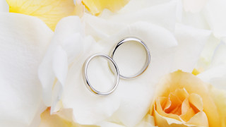 Silver rings white flower yellow - ground free wallpaper