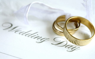 Wedding rings marriage paper feather - ring free wallpaper