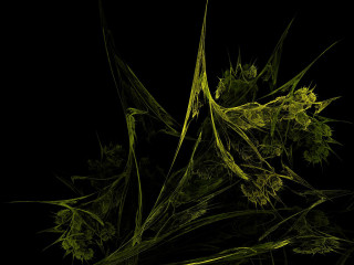 Green plants dark together bunch - green plant free wallpaper