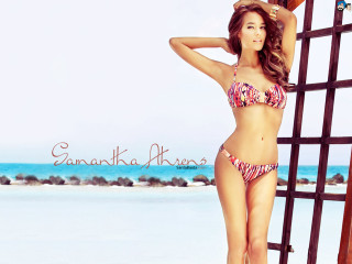 Woman bikini beach fence water - a surfboard free wallpaper