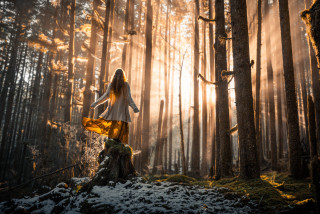 Woman white dress forest sunbeams - radiant free wallpaper