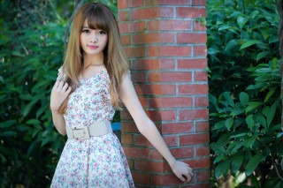 Woman dress brick wall bushes - a woman in a dress free wallpaper