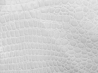 White crocodile skin texture circles - fine free wallpaper