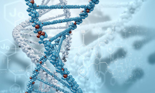 Blue white structure red bead - structure free wallpaper