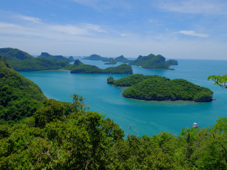 Small islands water trees bushes - the middle of a body free wallpaper