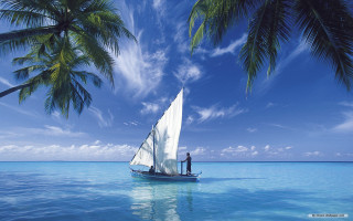 Sailboat man ocean palm trees 2 - don arday free wallpaper