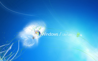 Blue sky dandelion windows ultimate - ultimate free wallpaper