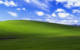 Green field blue sky clouds 46 - a few yellow flower free wallpaper
